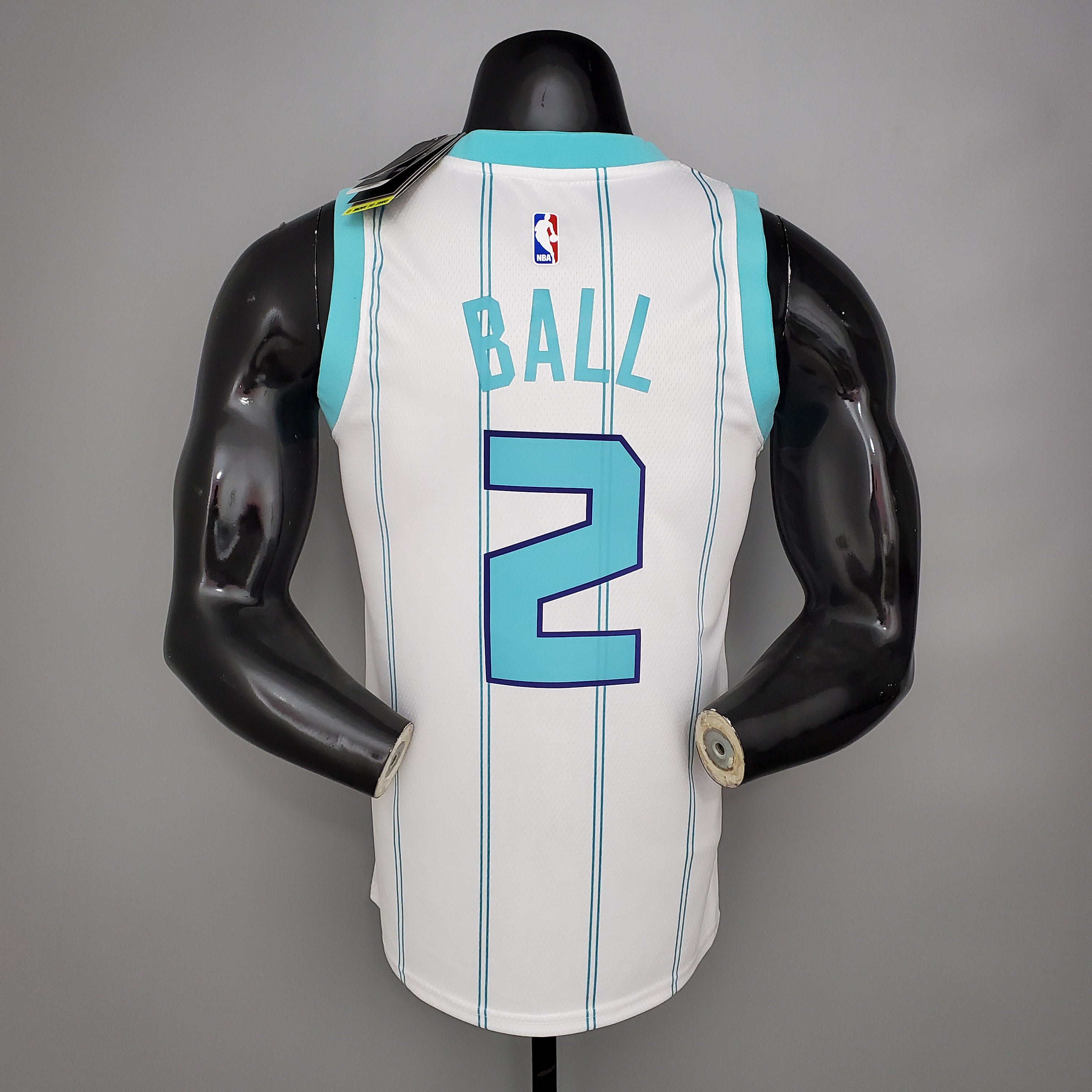 Charlotte Hornets (white edition)