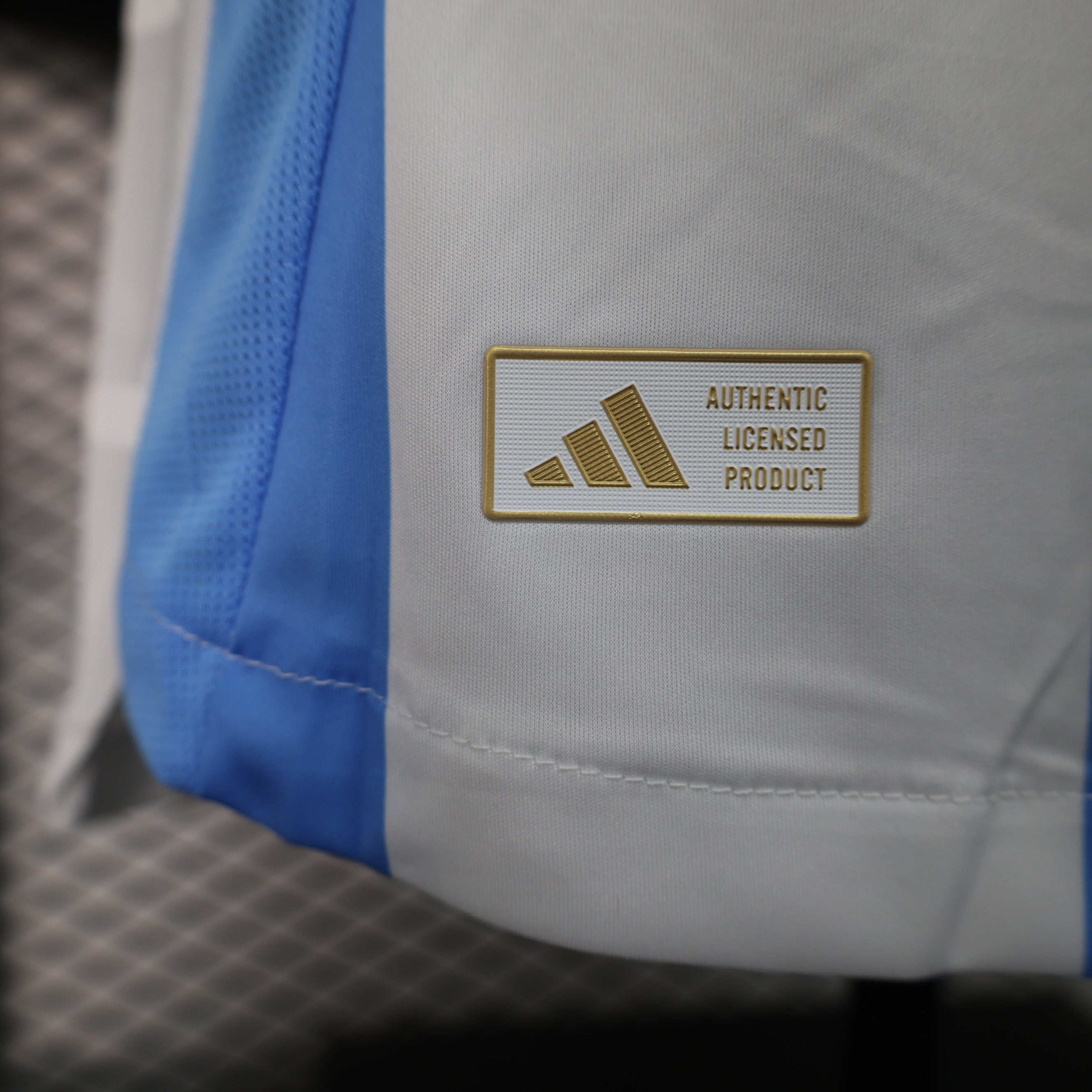 Argentina 2024/25 Vapor Match (Primera Equipación)