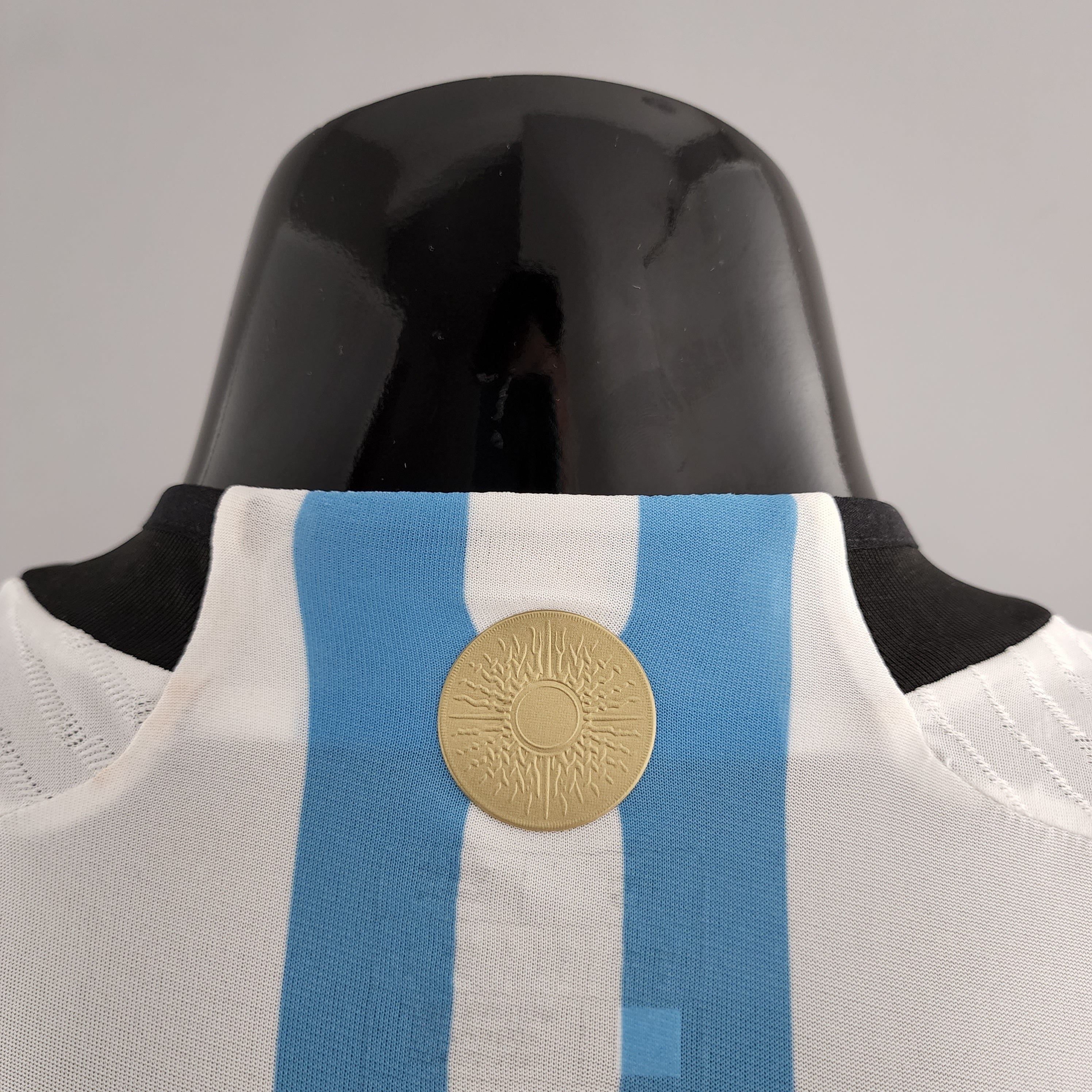 Argentina World Cup 2022 (Vapor Match)