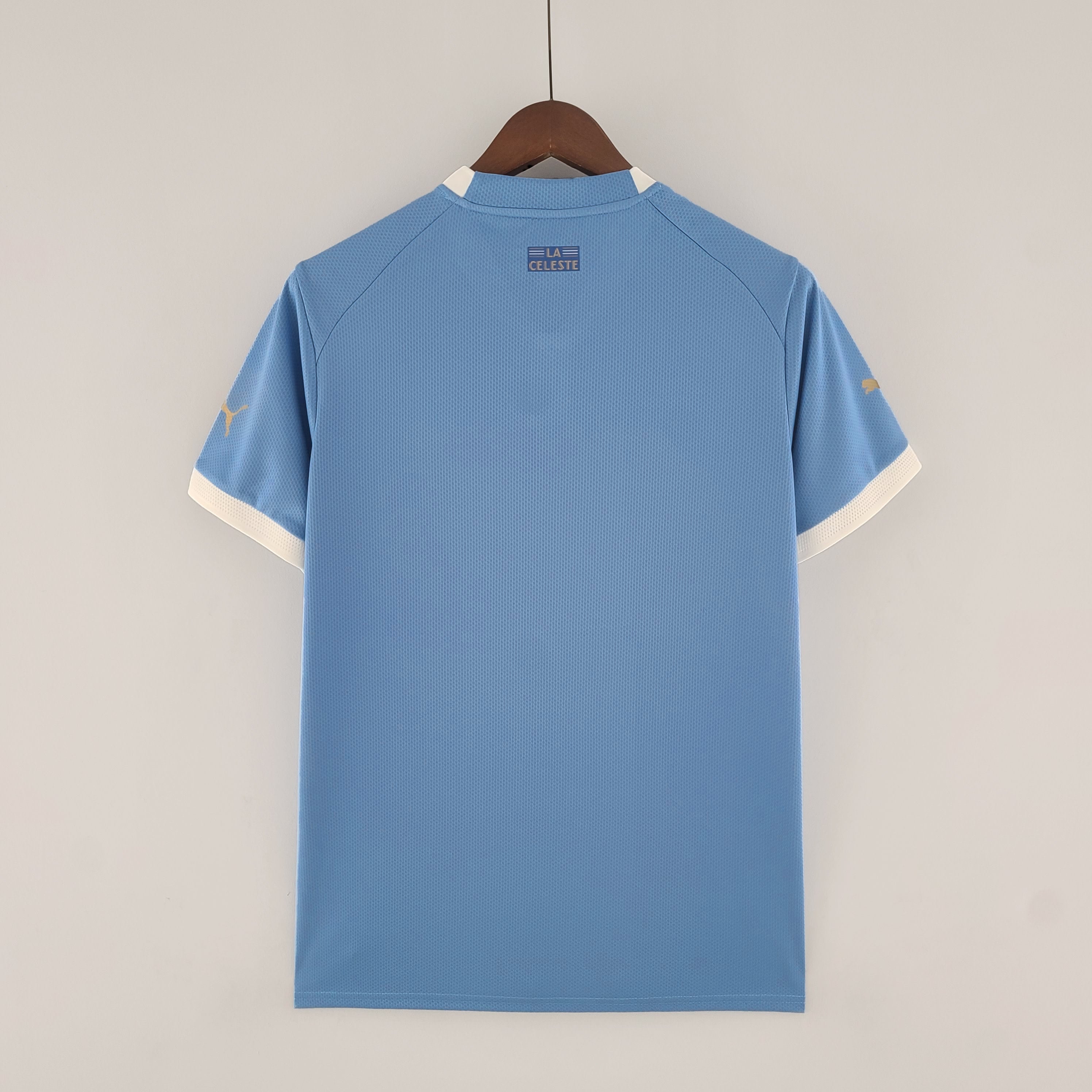 Uruguay World Cup 2022 (Primera equipación)