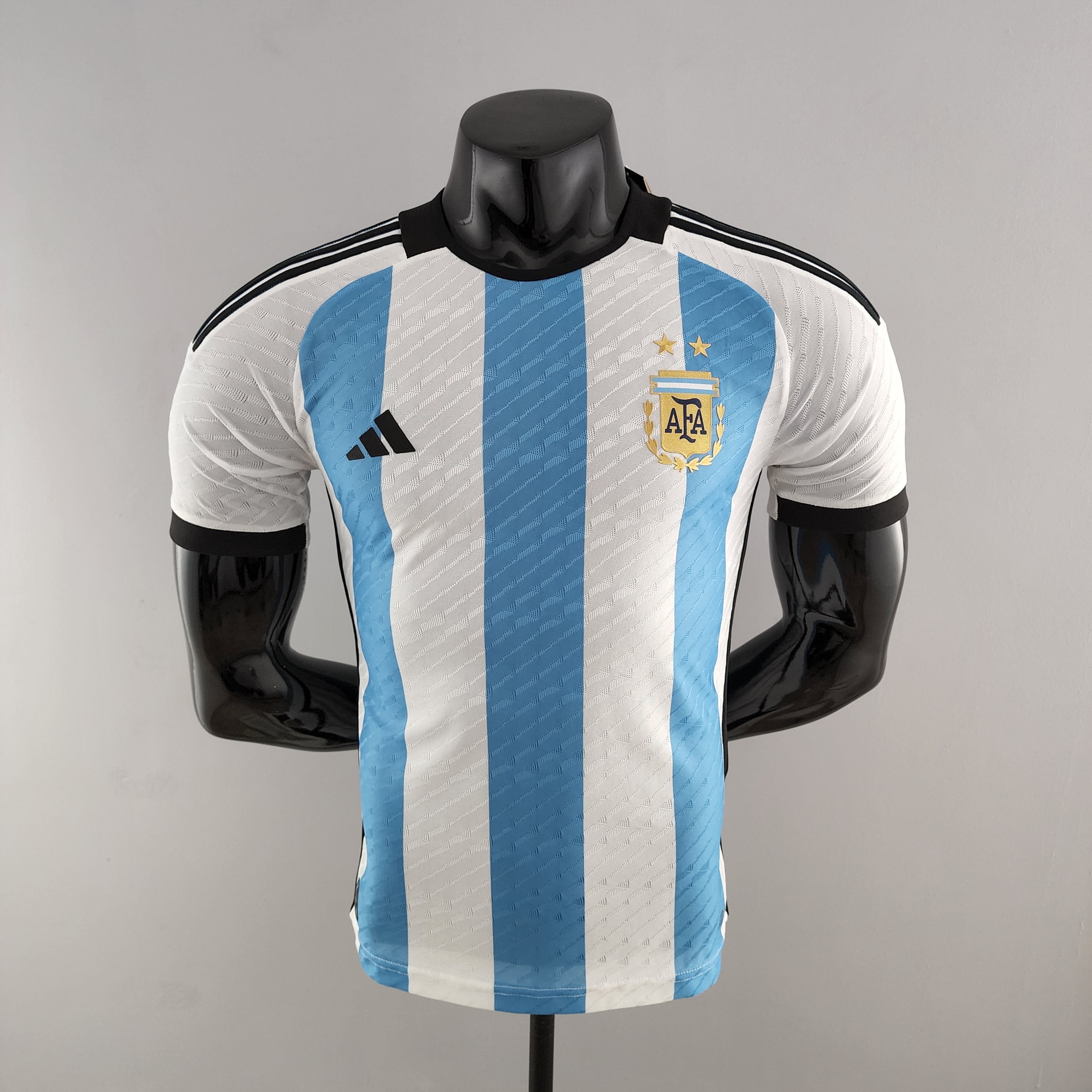 Argentina World Cup 2022 (Vapor Match)