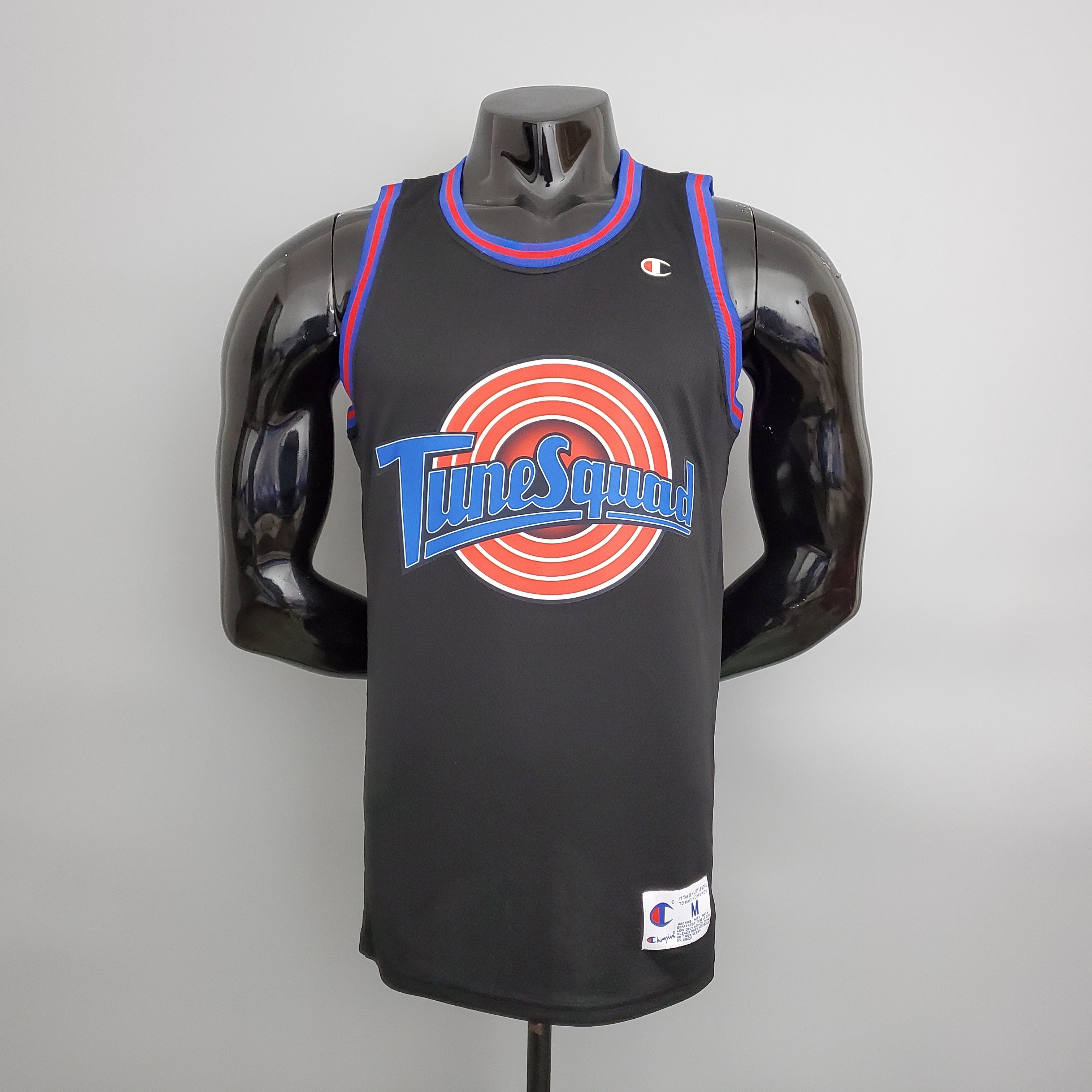 Space Jam 23 Jordan Retro