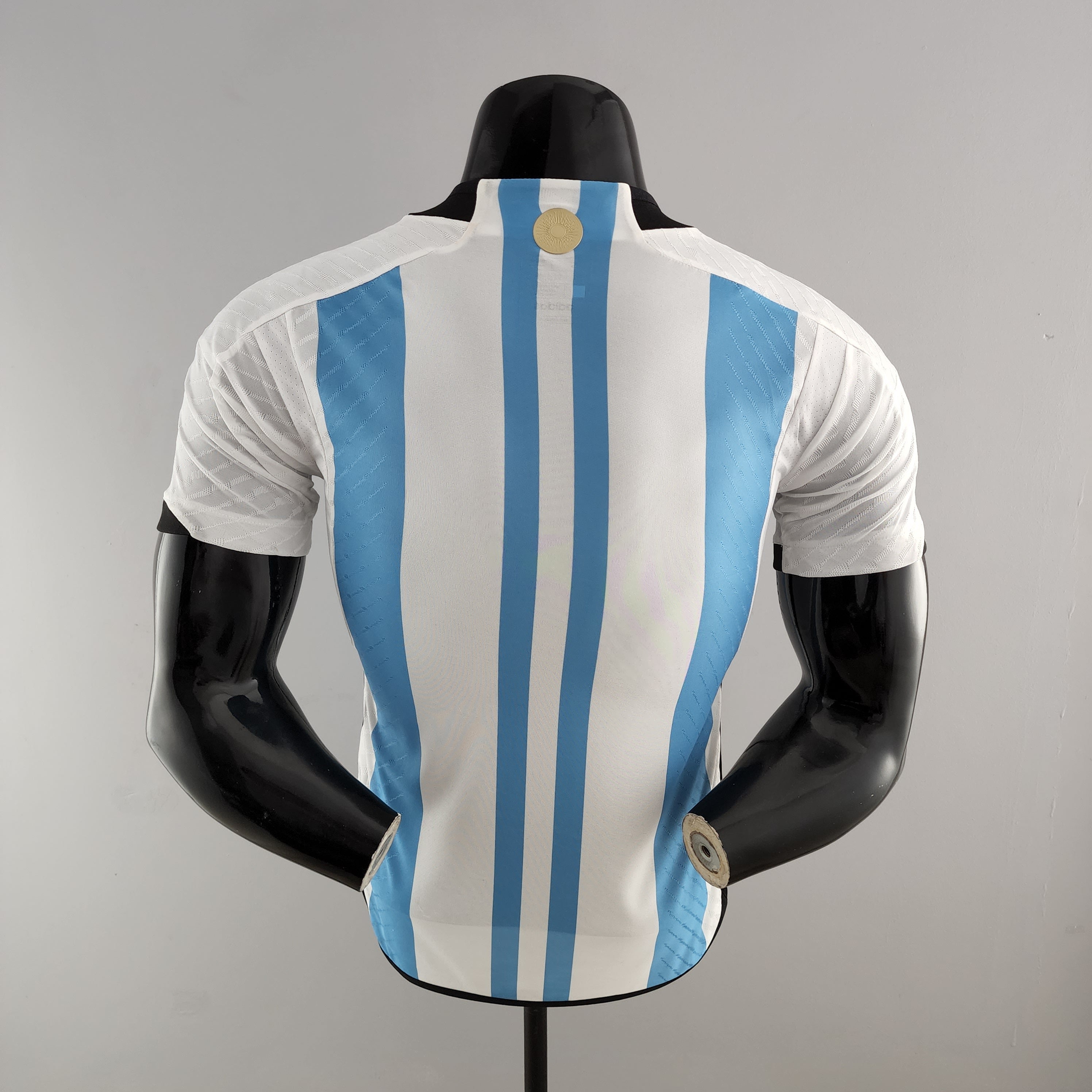 Argentina World Cup 2022 (Vapor Match)