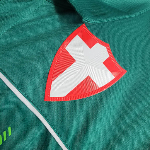 Palmeiras 2023/24 (edicion verde)