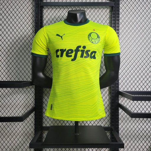 Palmeiras 2023/24 (segunda equipacion)